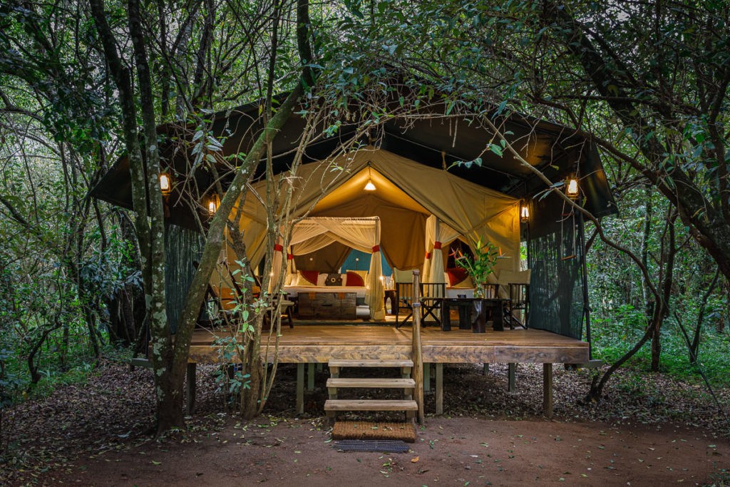 mara bush camp